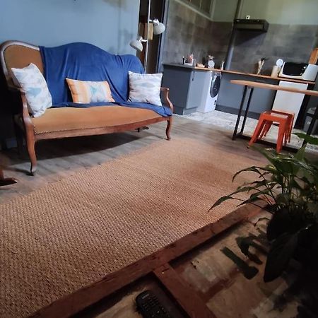 Studio 1 Chambre Ideal Salaries Nomades Montauban Dış mekan fotoğraf