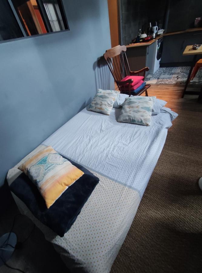 Studio 1 Chambre Ideal Salaries Nomades Montauban Dış mekan fotoğraf